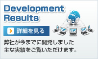 開発実績