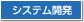 システム開発