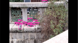 鳥認識のAI